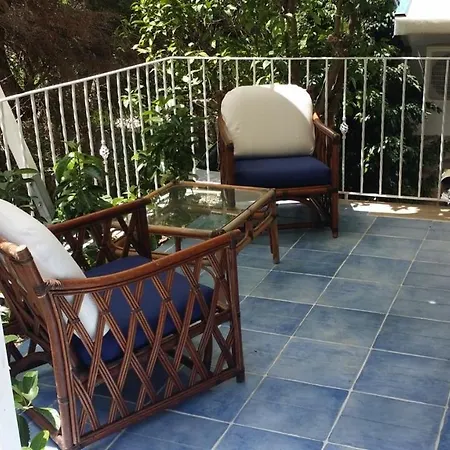 Betta Cittadella del Capo