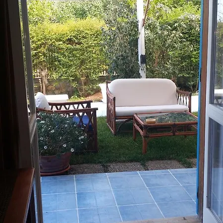 Betta Cittadella del Capo