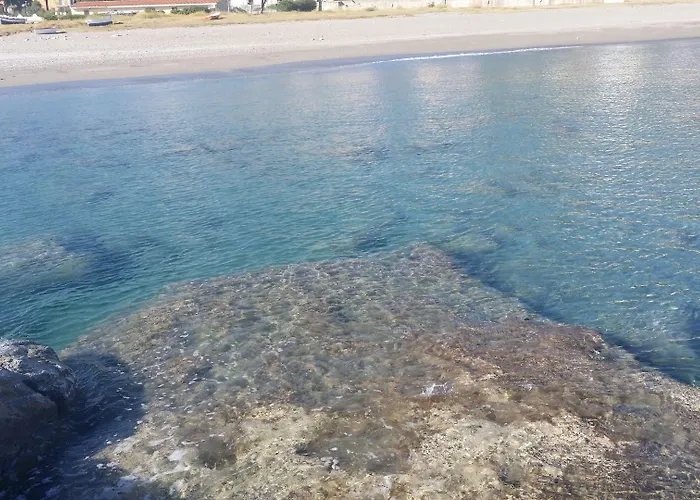 Oda ve Kahvaltı Betta